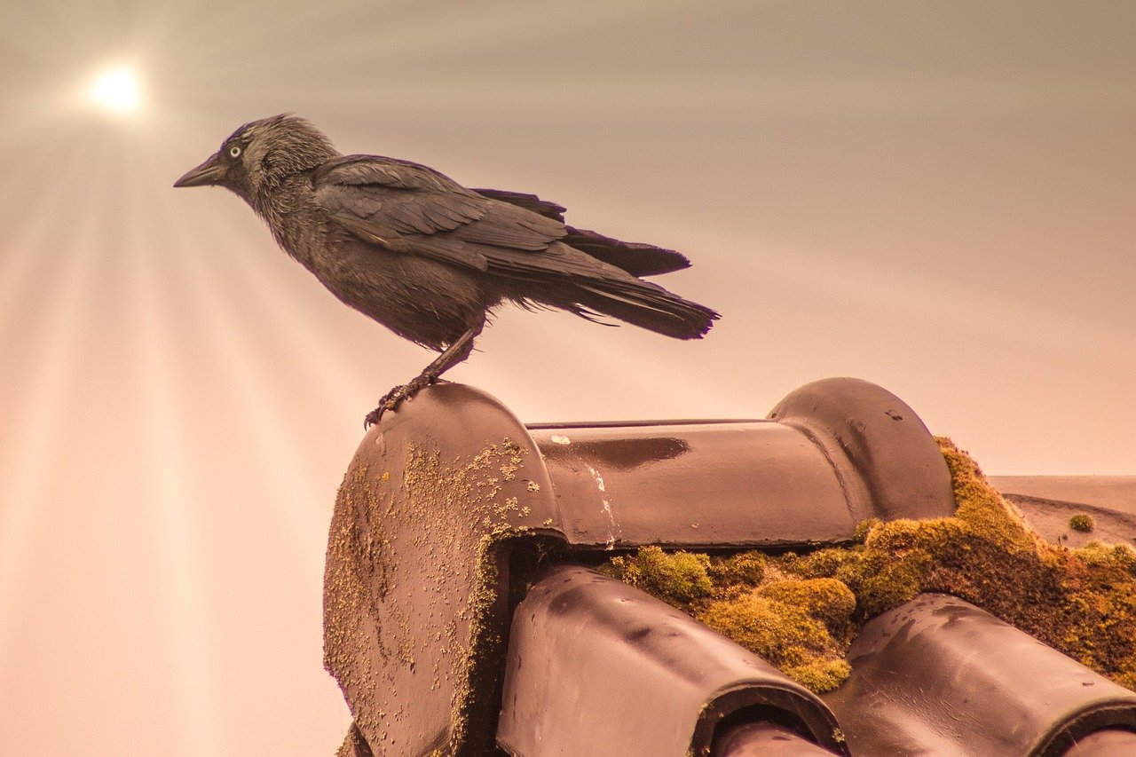 등산용품 브랜드