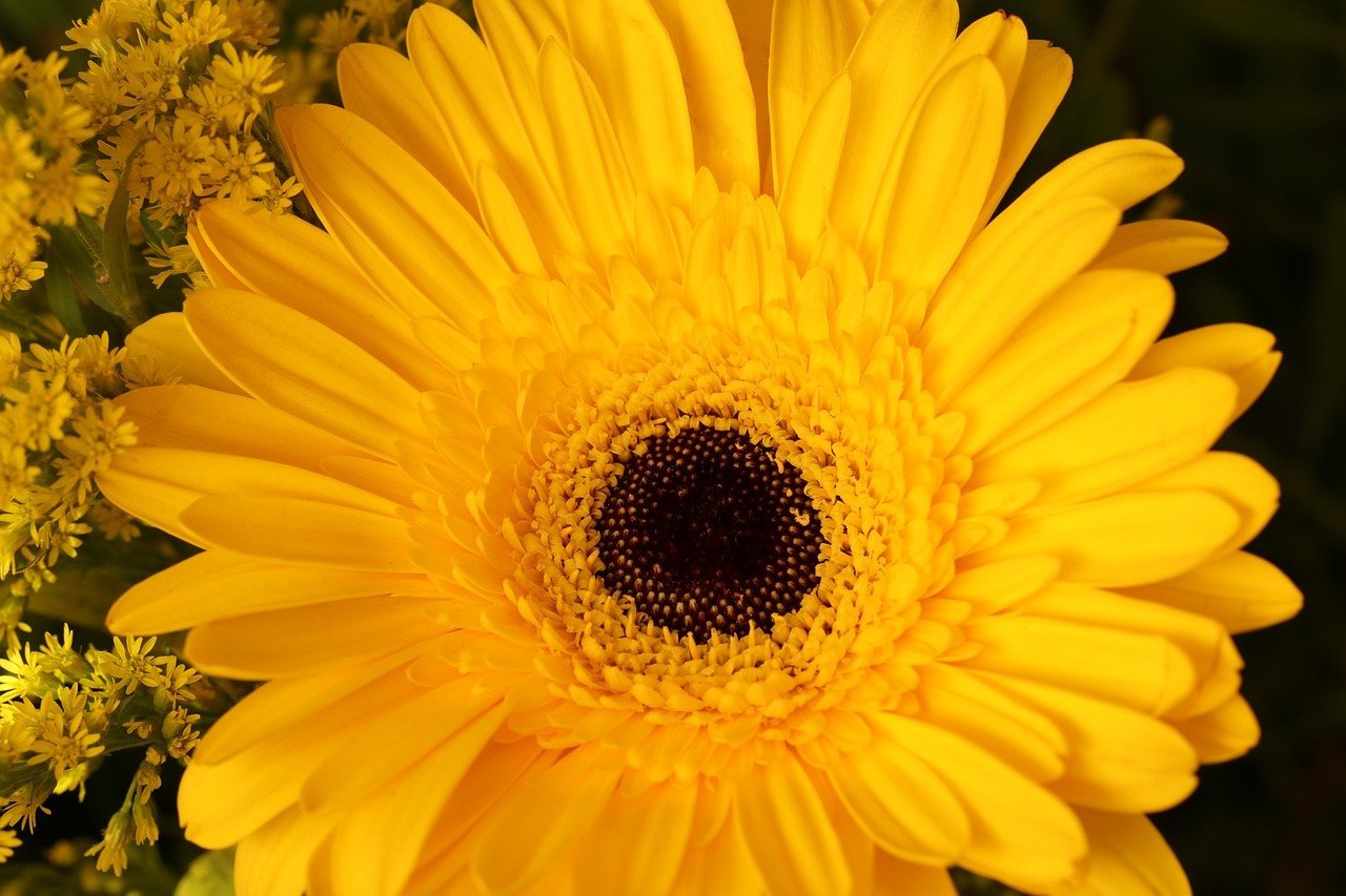 인생을 바꾸는 작은 습관 5가지 알아보기