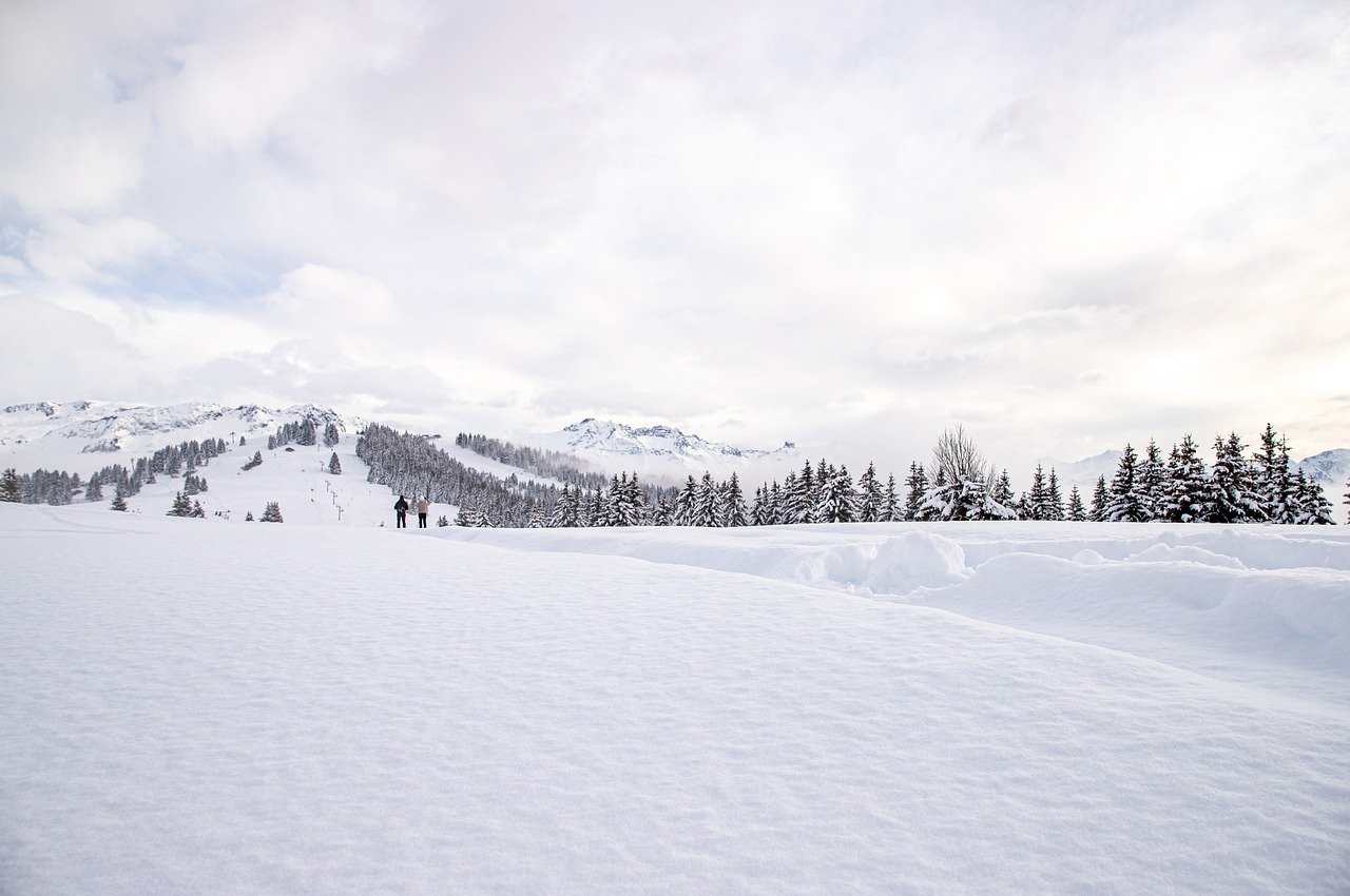 스키 장비 선택 시 꼭 알아야 할 필수 체크리스트